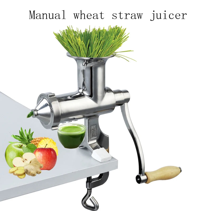 Stainless Steel Manual Slow Juicer – Wheatgrass & Ginger Extractor
