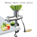 Stainless Steel Manual Slow Juicer – Wheatgrass & Ginger Extractor