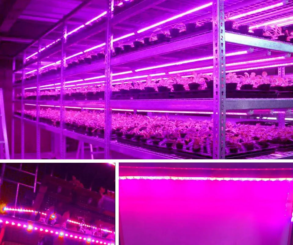 USB LED Grow Light Strip – Full Spectrum Plant Light 2m/3m for Vegetables & Seedlings