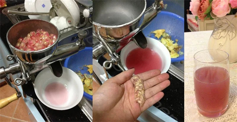Stainless Steel Manual Slow Juicer – Wheatgrass & Ginger Extractor