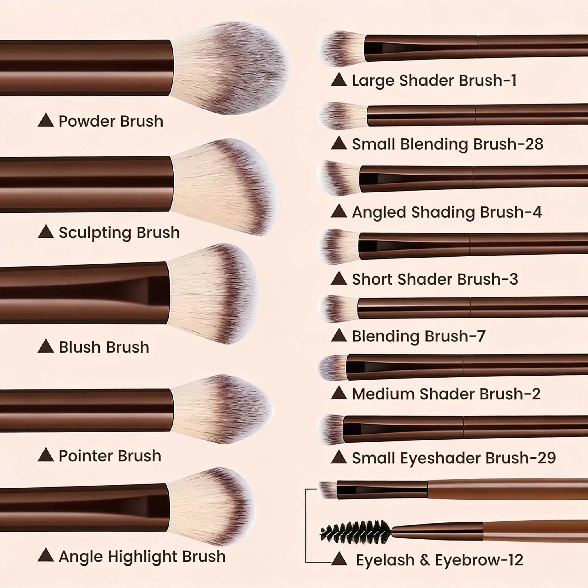 13pc Makeup Brush Set – Foundation, Eyeshadow, Blush & More