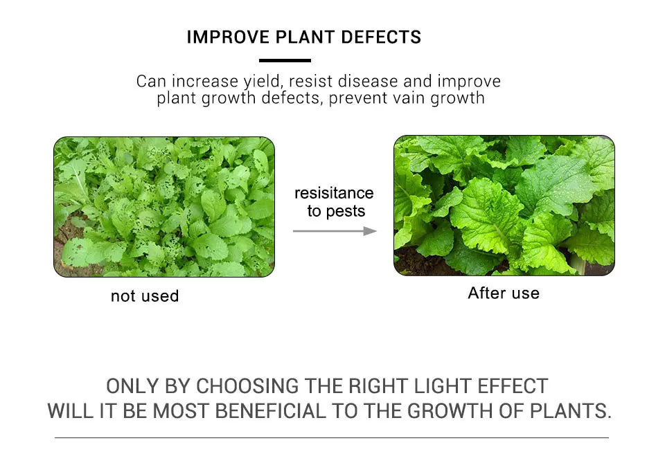 USB LED Grow Light Strip – Full Spectrum Plant Light 2m/3m for Vegetables & Seedlings