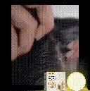 Rice Shampoo Bar – Hair Growth & Oil Control