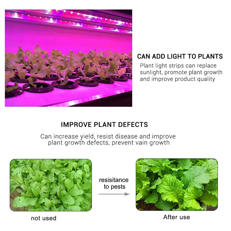 USB LED Grow Light Strip – Full Spectrum Plant Light 2m/3m for Vegetables & Seedlings