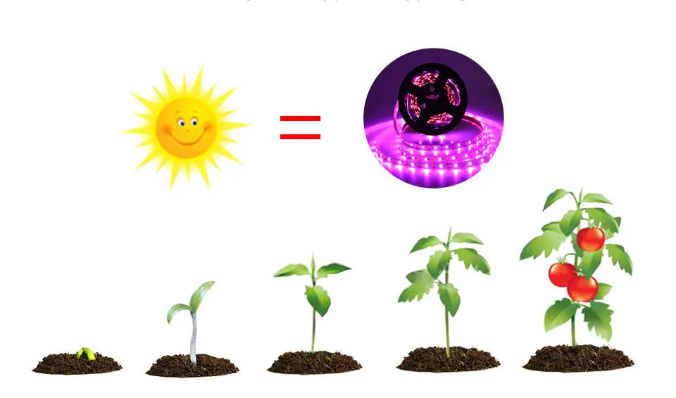 USB LED Grow Light Strip – Full Spectrum Plant Light 2m/3m for Vegetables & Seedlings