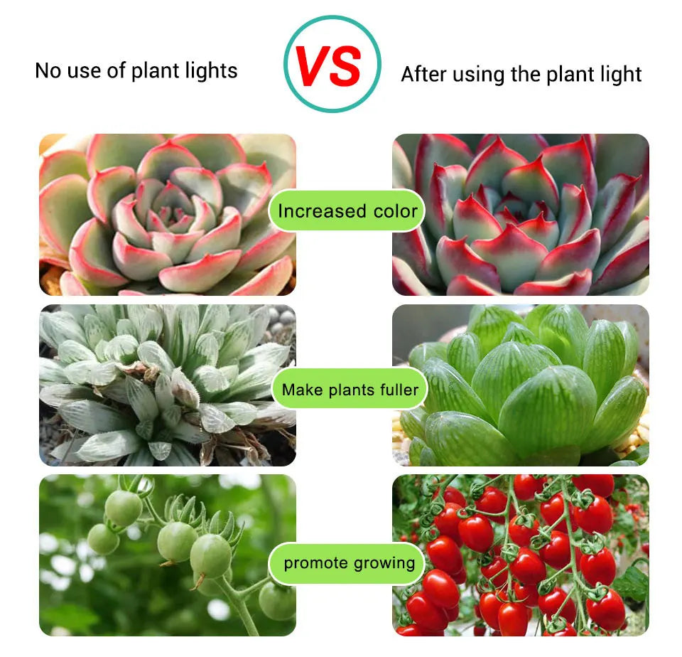 USB LED Grow Light Strip – Full Spectrum Plant Light 2m/3m for Vegetables & Seedlings