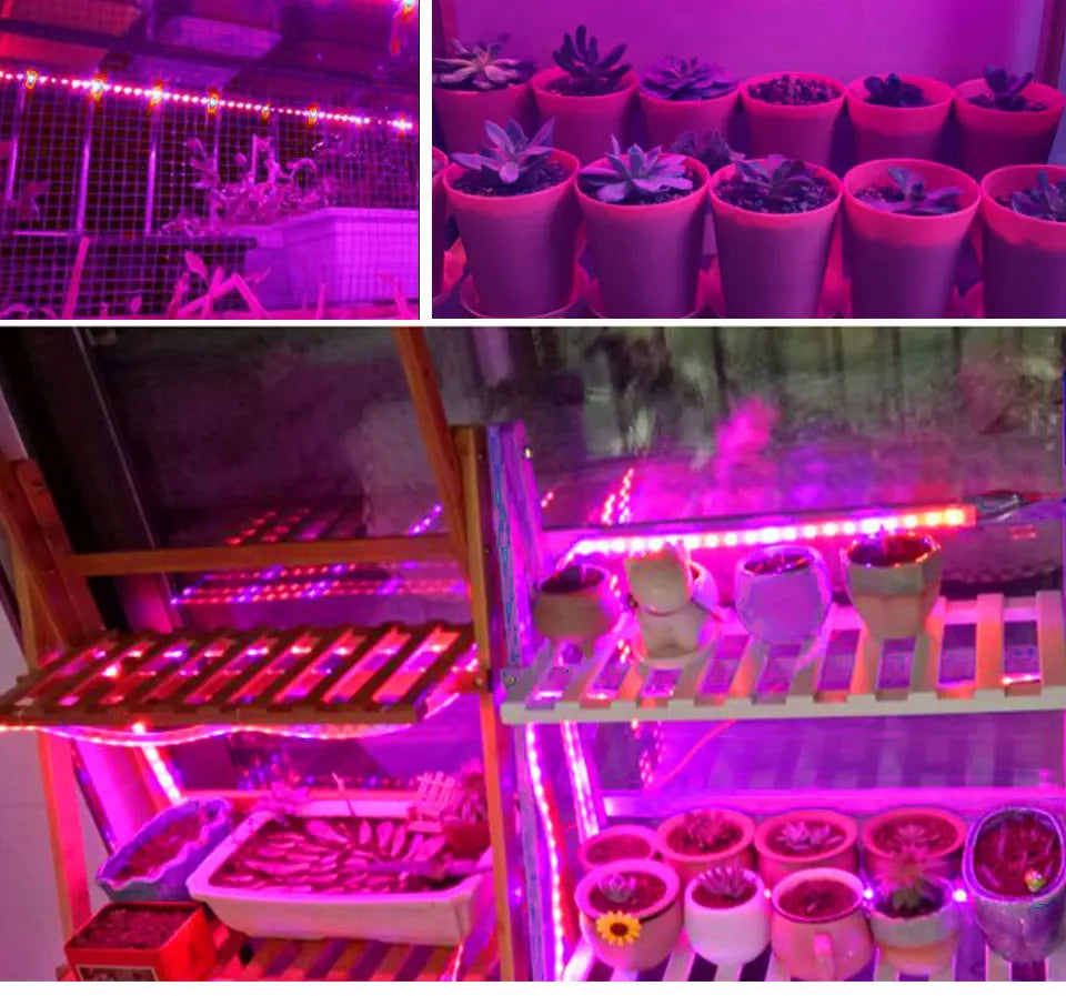 USB LED Grow Light Strip – Full Spectrum Plant Light 2m/3m for Vegetables & Seedlings