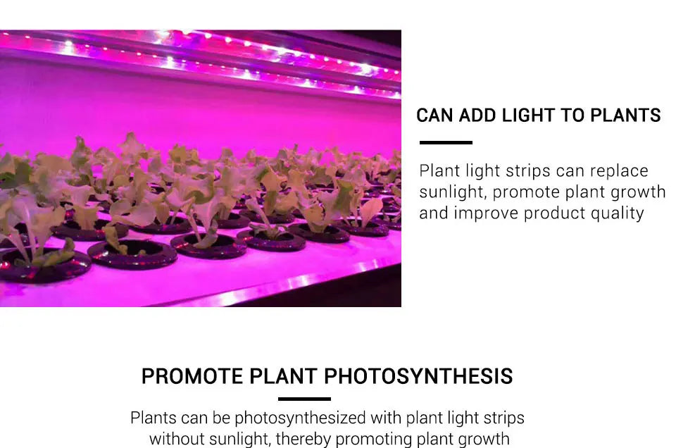 USB LED Grow Light Strip – Full Spectrum Plant Light 2m/3m for Vegetables & Seedlings